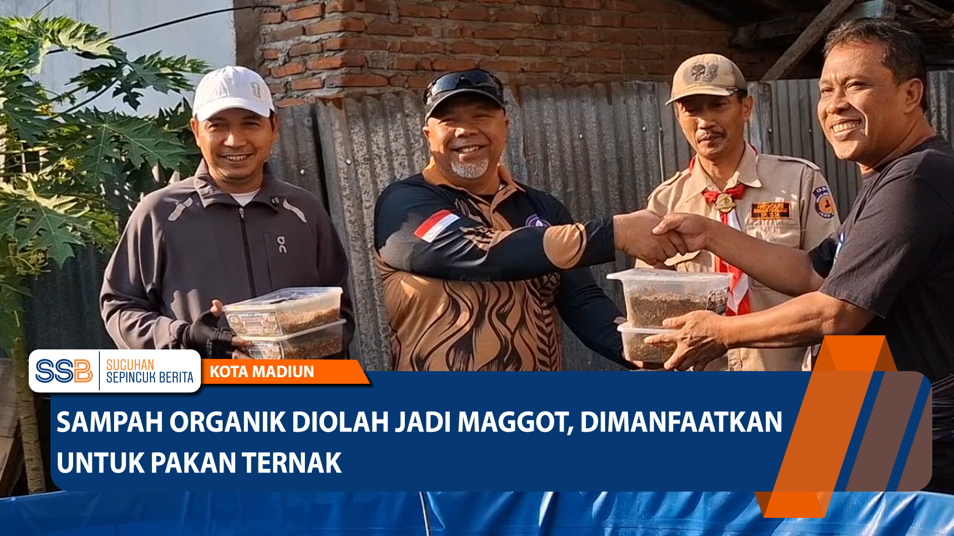 Sampah Organik Diolah Jadi Maggot, Dimanfaatkan untuk Pakan Ternak