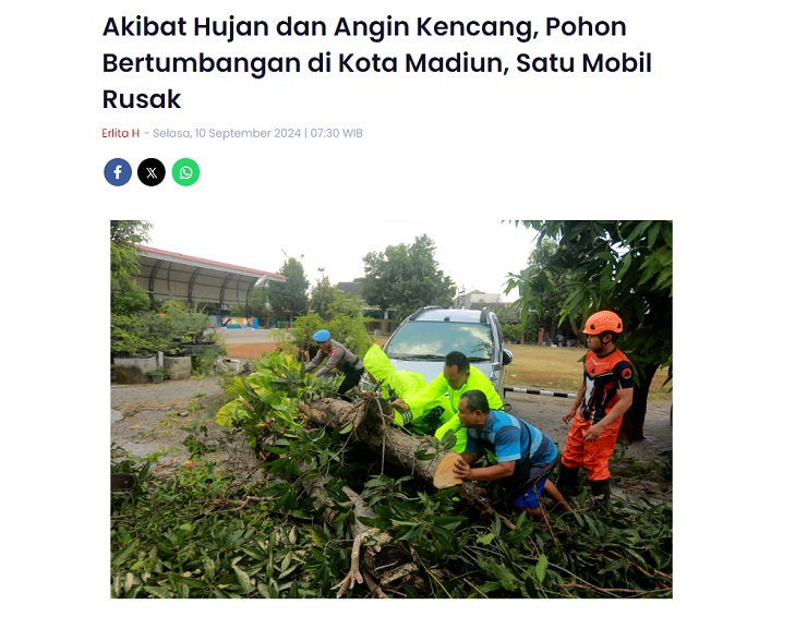 Akibat Hujan dan Angin Kencang, Pohon Bertumbangan di Kota Madiun, Satu Mobil Rusak