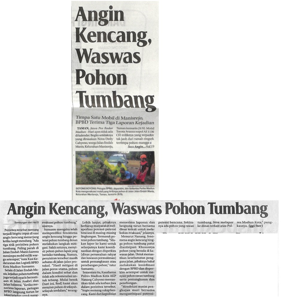 Angin Kencang, Waswas Pohon Tumbang