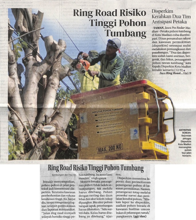Ring Road Risiko Tinggi Pohon Tumbang