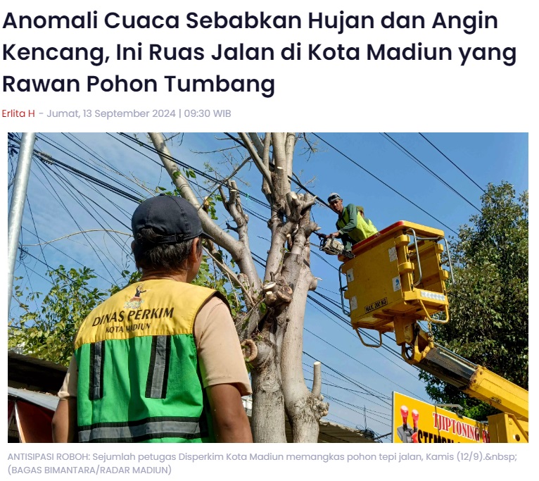 Anomali Cuaca Sebabkan Hujan dan Angin Kencang, Ini Ruas Jalan di Kota Madiun yang Rawan Pohon Tumbang