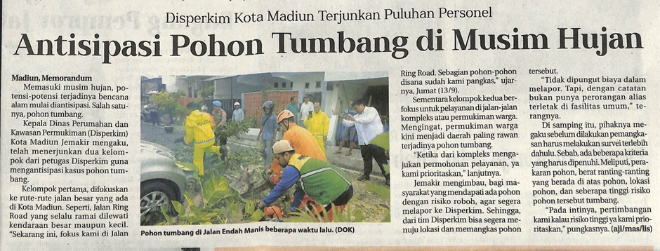 Disperkim Kota Madiun Terjunkan Puluhan Personel Antisipasi Pohon Tumbang di Musim Hujan