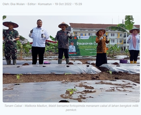 Kendalikan Inflasi, Pemkot Madiun-BI Kediri Tanam Ribuan Bibit Cabai