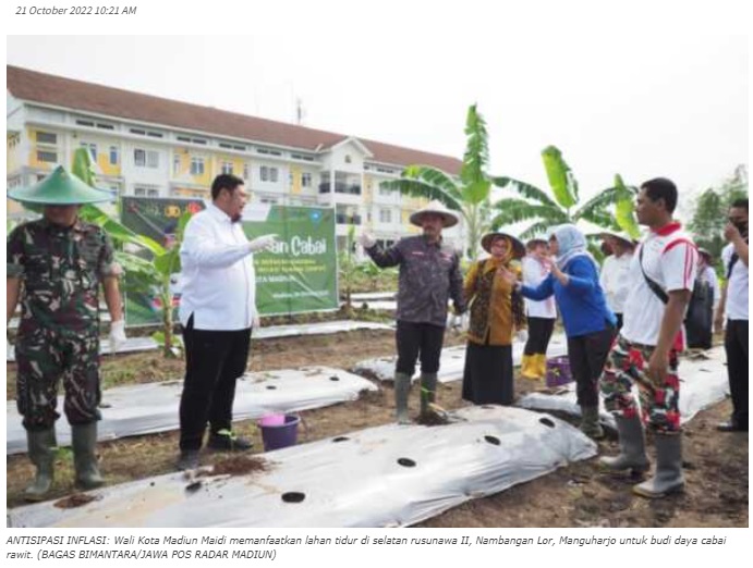Tekan Inflasi, Pemkot Madiun Manfaatkan Lahan Tidur untuk Ditanami Cabai Rawit