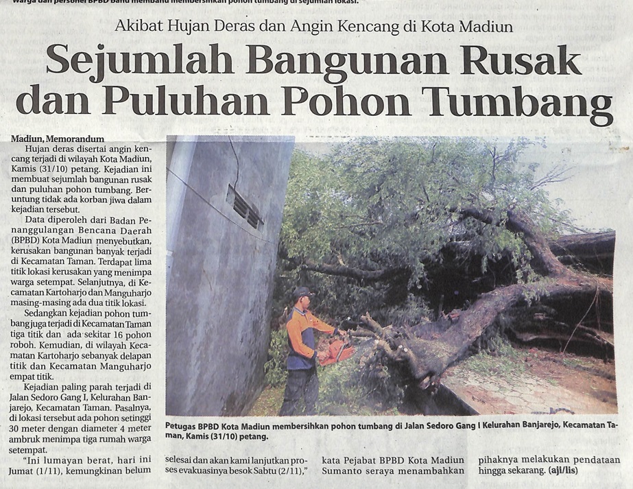 Akibat Hujan Deras dan Angin Kencang di Kota Madiun Sejumlah Bangunan Rusak dan Puluhan Pohon Tumbang