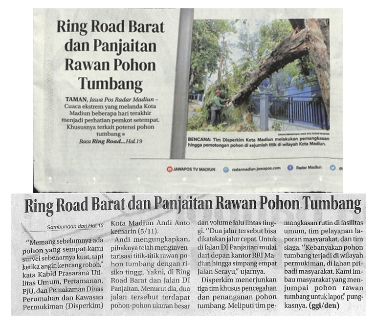 Ring Road Barat dan Panjaitan Rawan Pohon Tumbang