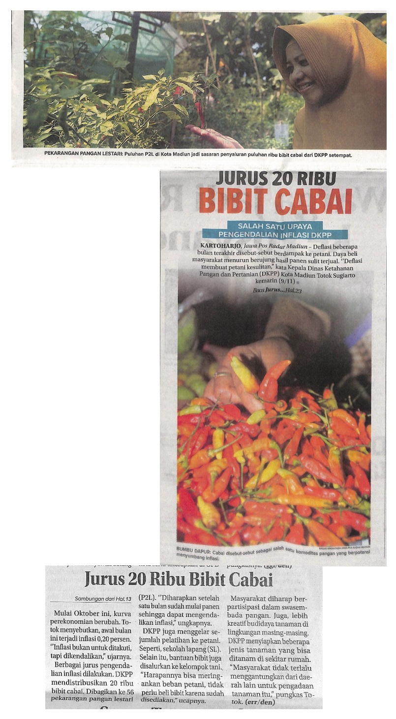 Jurus 20 Ribu Bibit Cabai