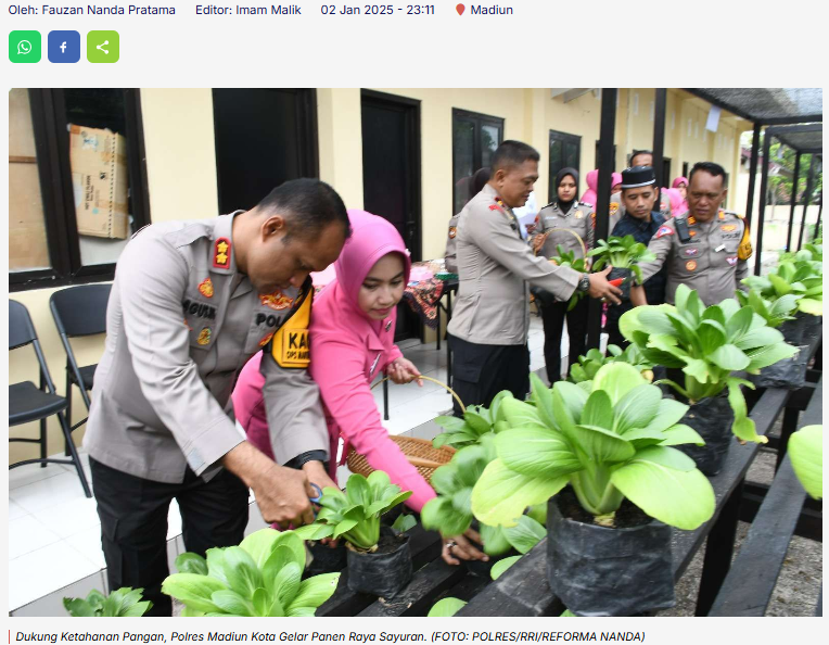 Dukung Ketahanan Pangan, Polres Madiun Kota Gelar Panen Raya Sayuran