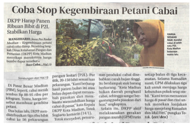 Coba Stop Kegembiraan Petani Cabai