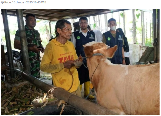 DKPP Kota Madiun minta masyarakat tak panik dengan kasus PMK sapi