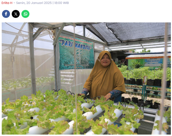 Warga Kota Madiun Usahakan Kebun Sayur Edukasi, Belajar di Sana Bisa Bawa Pulang Tanaman
