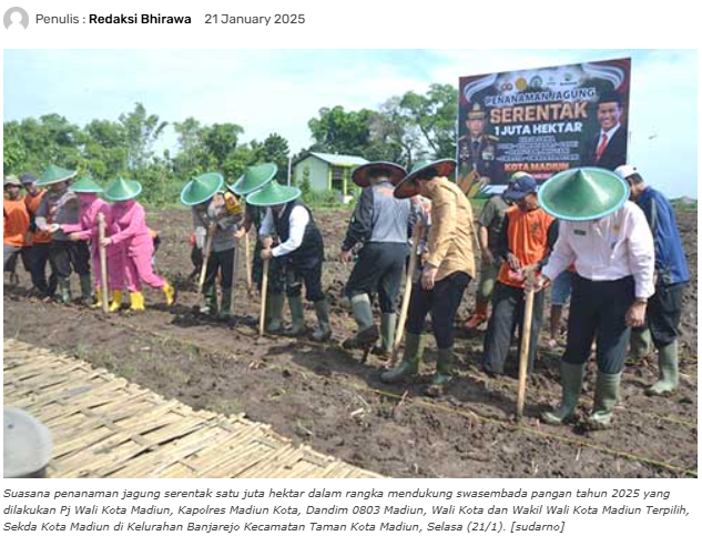 Lakukan Penanaman Jagung Serentak Satu Juta Hektar, Madiun Mendukung Swasembada Pangan