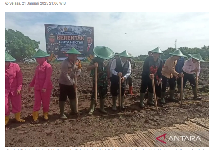 Pemkot Madiun lakukan penanaman jagung serentak