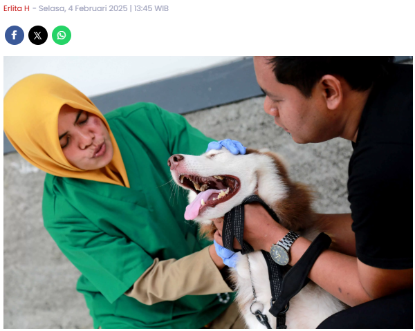 Layanan Kesehatan Hewan di Madiun: Anjing, Kucing, hingga Ular Dapat Pemeriksaan Gratis