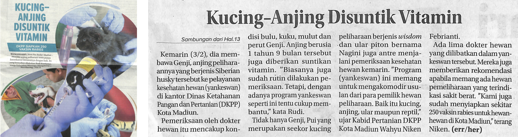 Kucing-Anjing Disuntik Vitamin