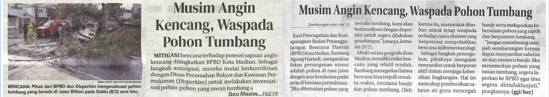 Musim Angin Kencang, Waspada Pohon Tumbang