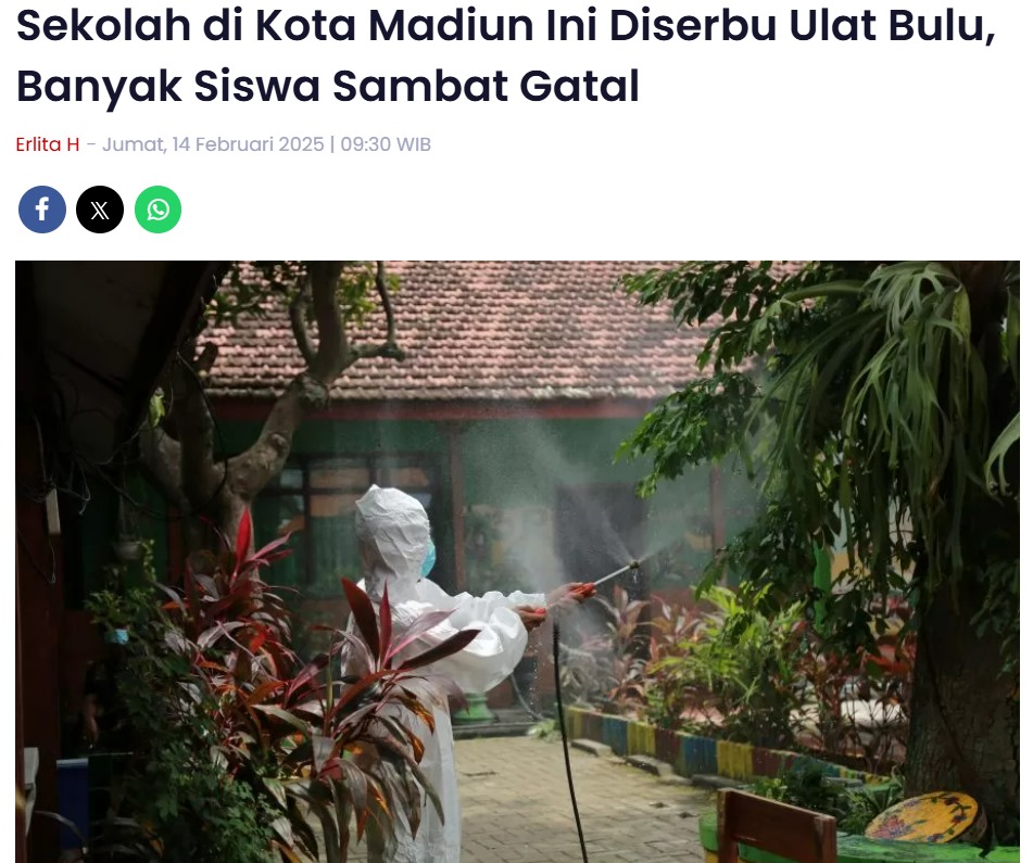 Sekolah di Kota Madiun Ini Diserbu Ulat Bulu, Banyak Siswa Sambat Gatal
