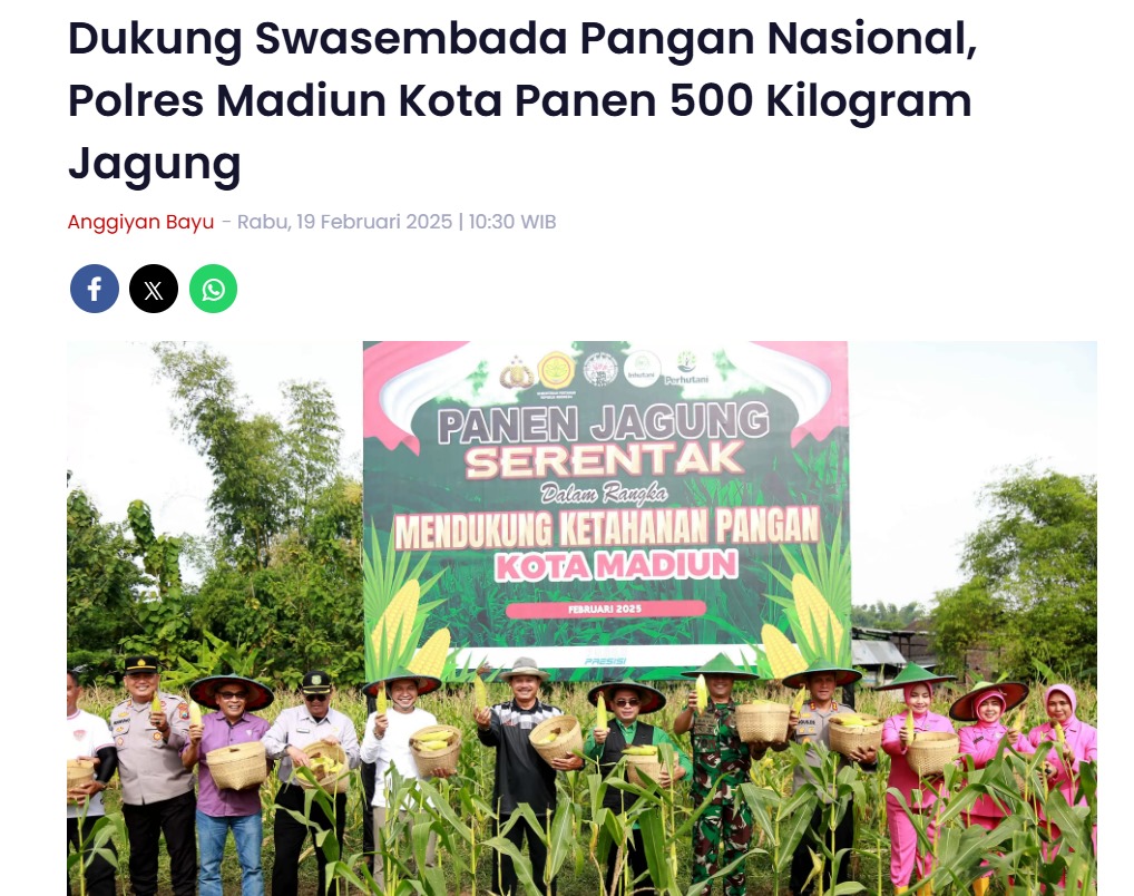 Dukung Swasembada Pangan Nasional, Polres Madiun Kota Panen 500 Kilogram Jagung