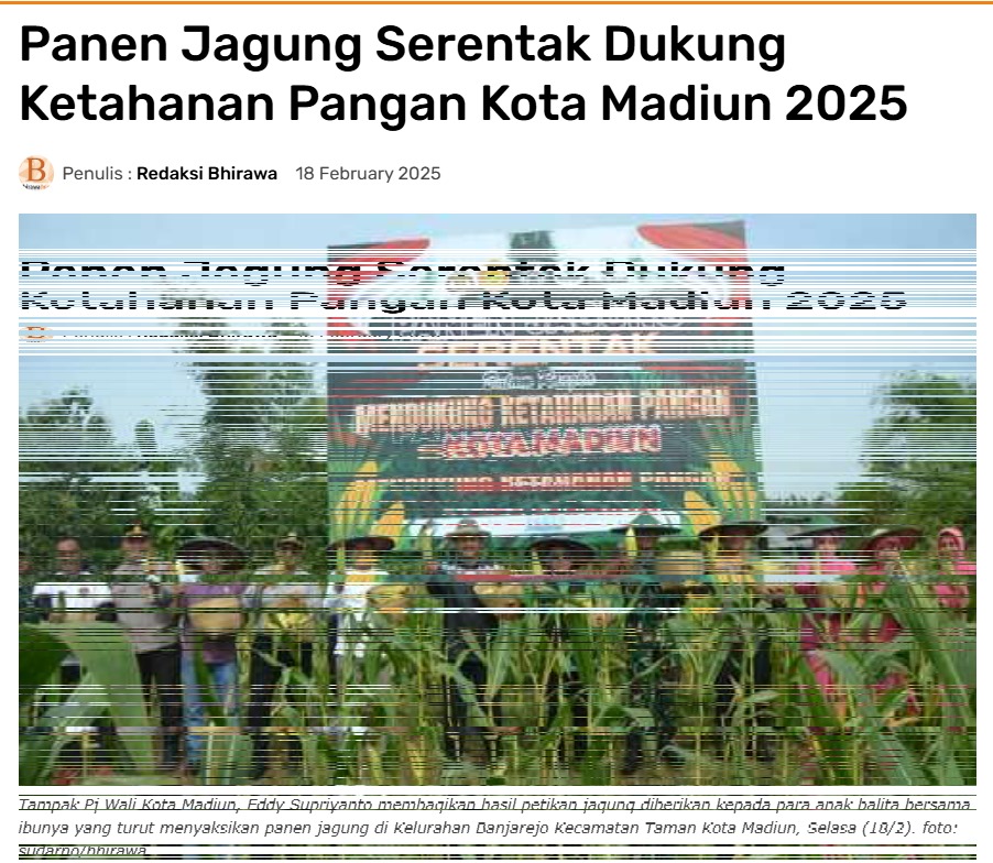 Panen Jagung Serentak Dukung Ketahanan Pangan Kota Madiun 2025