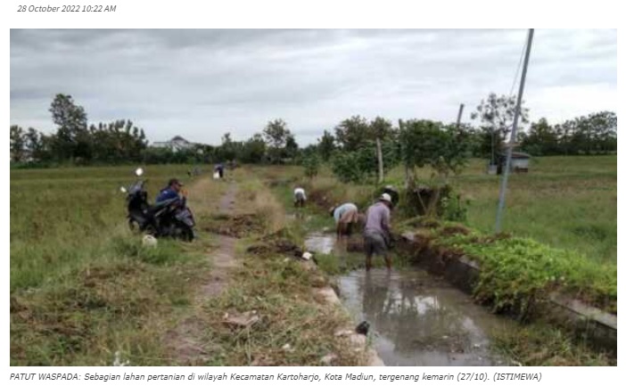 Masuk Musim Penghujan, Petani di Kota Madiun Diminta Waspada