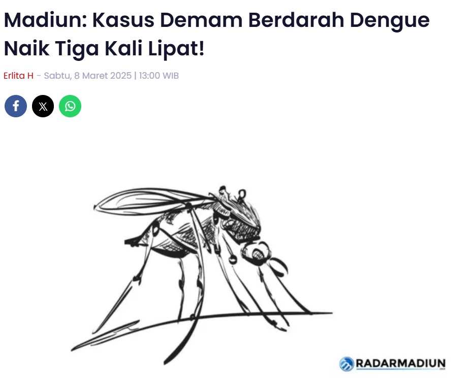 Madiun: Kasus Demam Berdarah Dengue Naik Tiga Kali Lipat!
