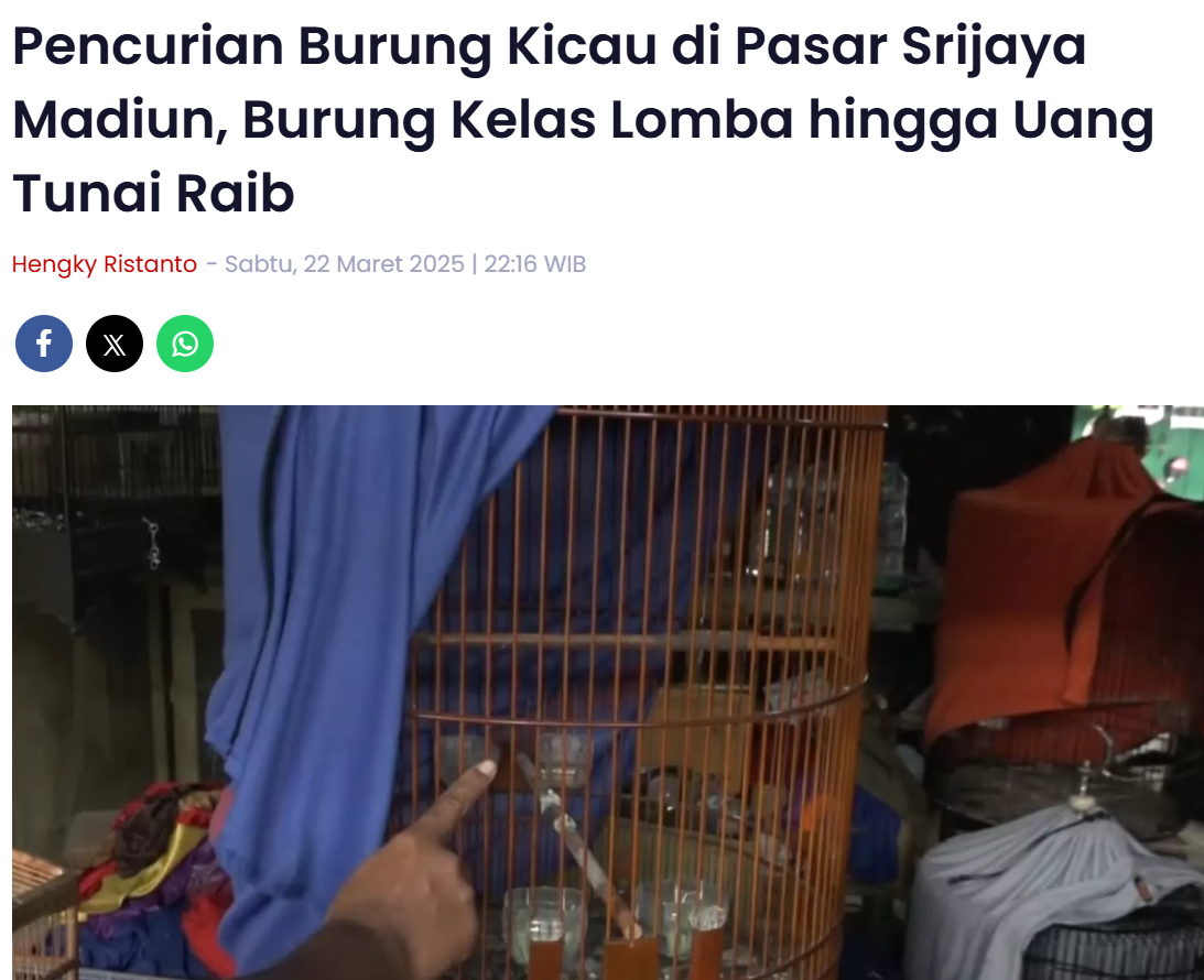Pencurian Burung Kicau di Pasar Srijaya Madiun, Burung Kelas Lomba hingga Uang Tunai Raib