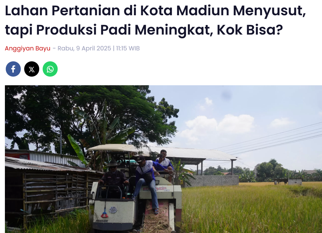 Lahan Pertanian di Kota Madiun Menyusut, tapi Produksi Padi Meningkat, Kok Bisa