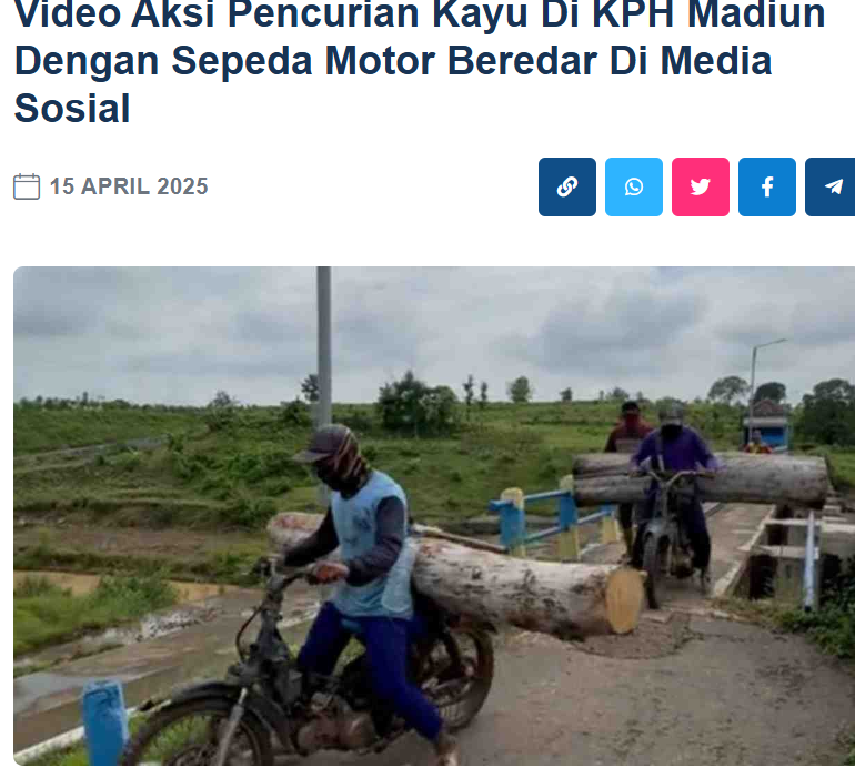 Video Aksi Pencurian Kayu Di KPH Madiun Dengan Sepeda Motor Beredar Di Media Sosial