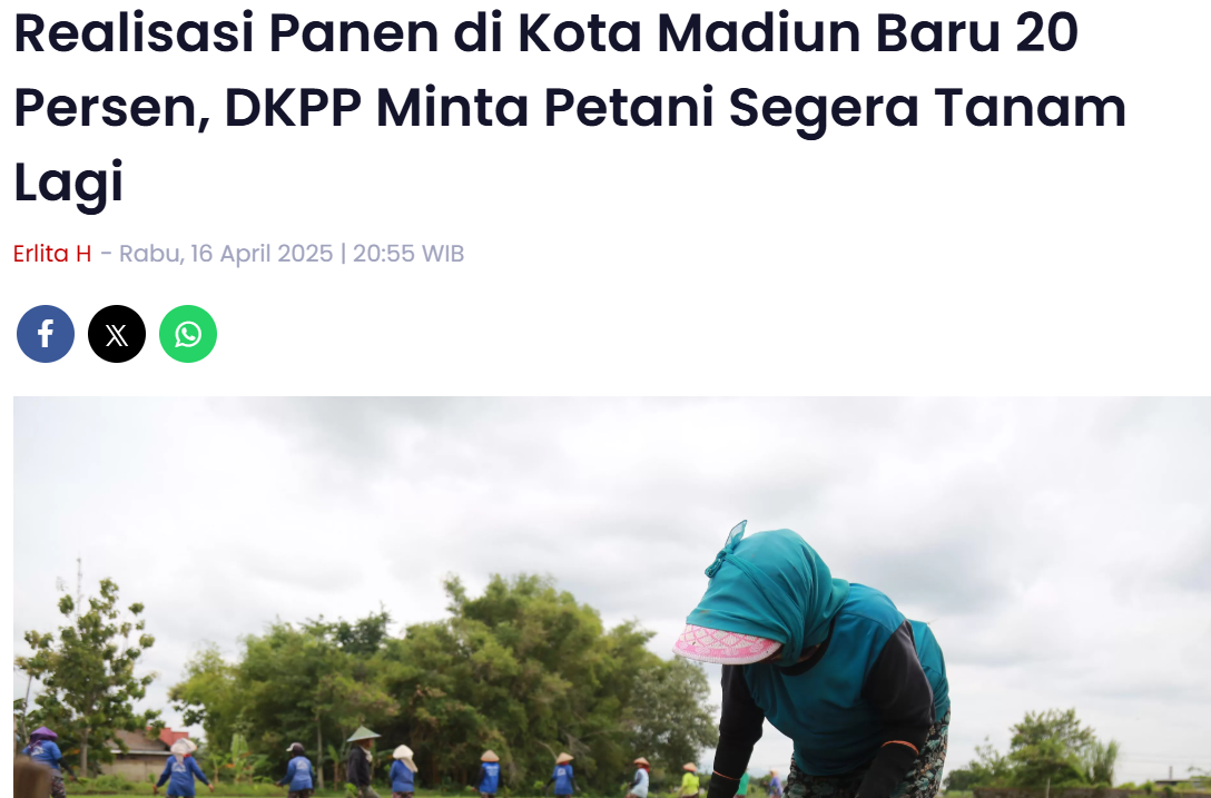 Realisasi Panen di Kota Madiun Baru 20 Persen, DKPP Minta Petani Segera Tanam Lagi