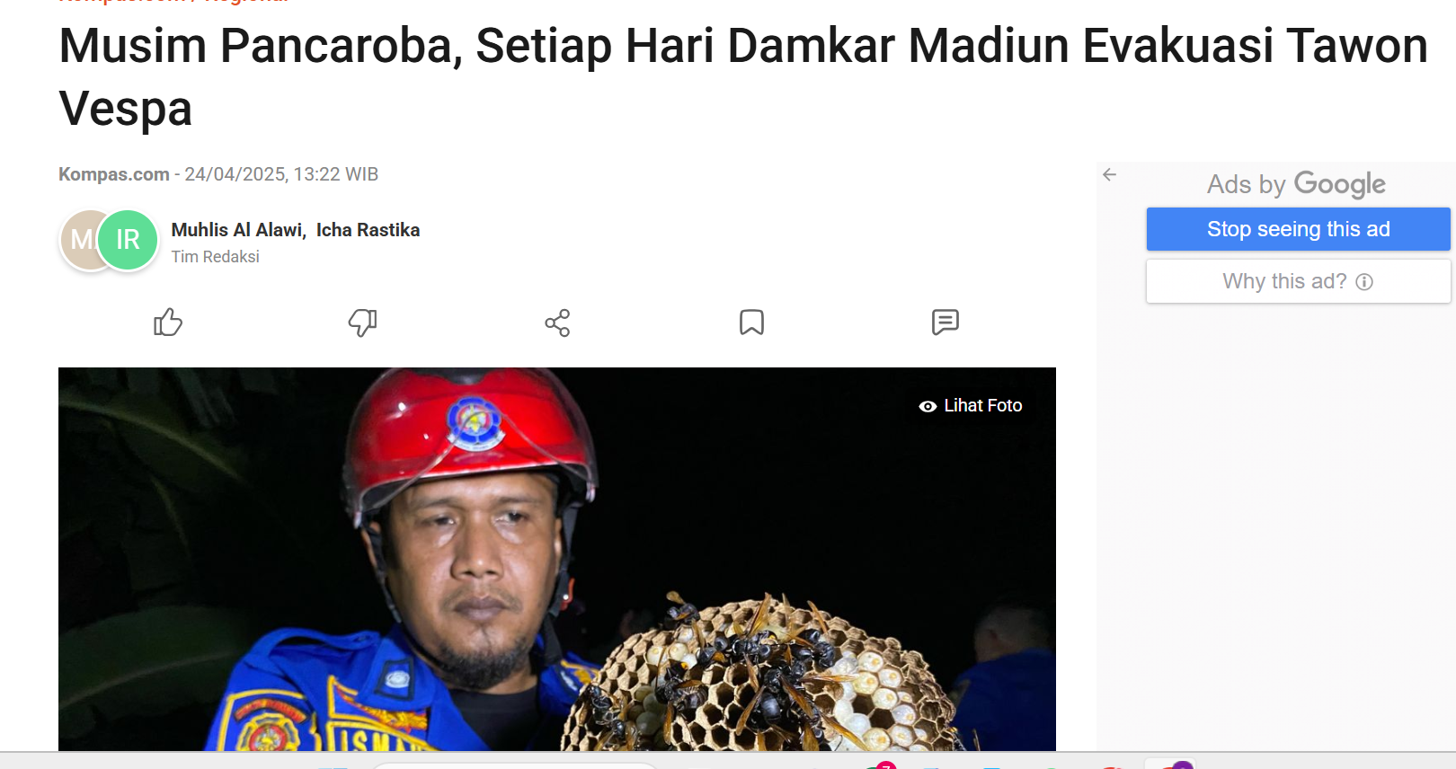 Musim Pancaroba, Setiap Hari Damkar Madiun Evakuasi Tawon Vespa