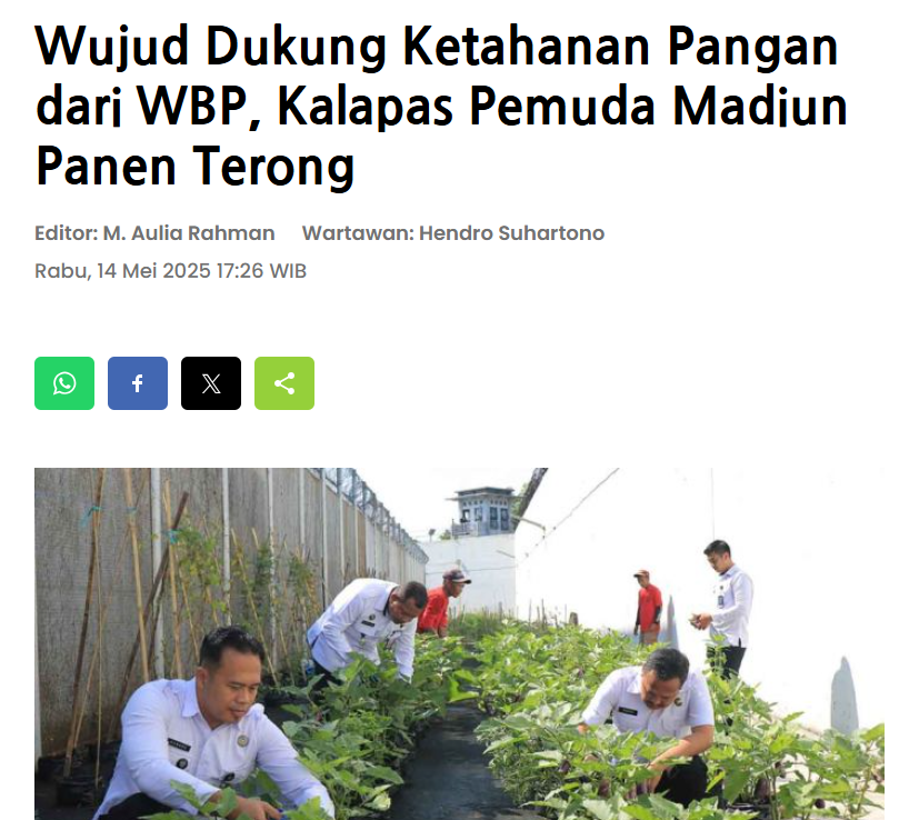 Wujud Dukung Ketahanan Pangan dari WBP, Kalapas Pemuda Madiun Panen Terong