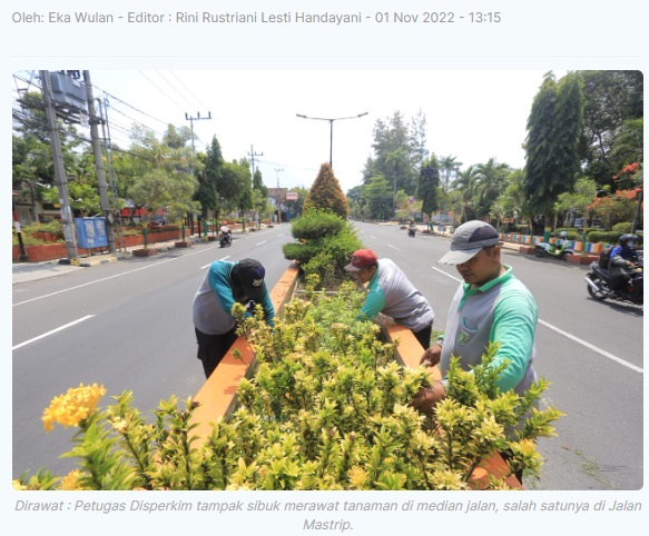 Wujudkan Madiun Kota Sejuta Bunga, Disperkim Rawat Tanaman di Median Jalan