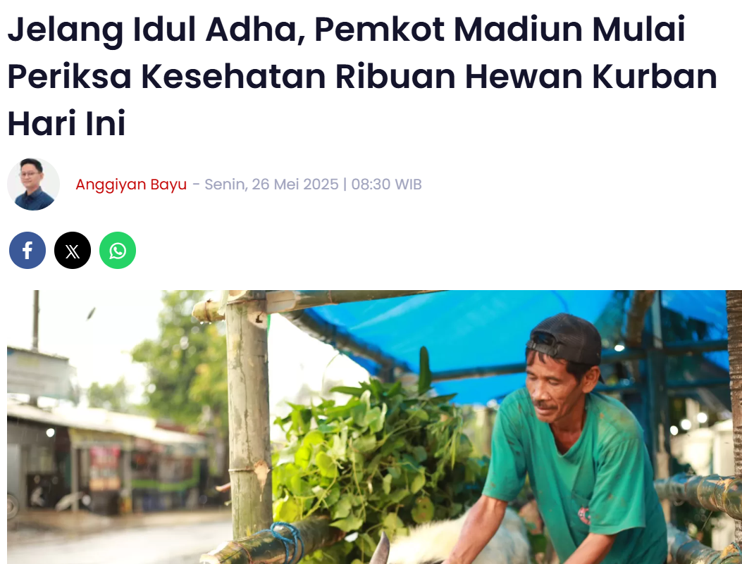 Jelang Idul Adha, Pemkot Madiun Mulai Periksa Kesehatan Ribuan Hewan Kurban Hari Ini