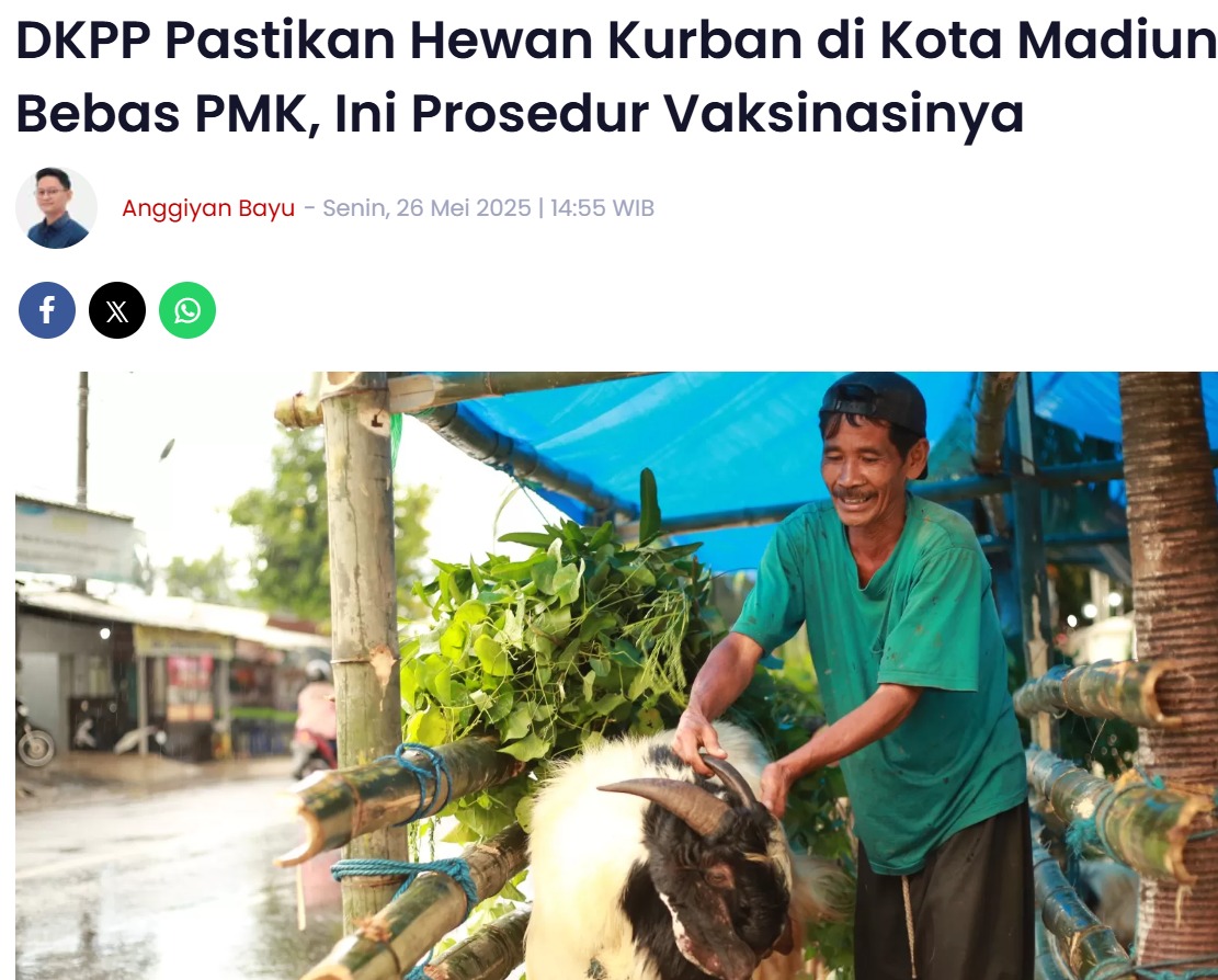 DKPP Pastikan Hewan Kurban di Kota Madiun Bebas PMK, Ini Prosedur Vaksinasinya