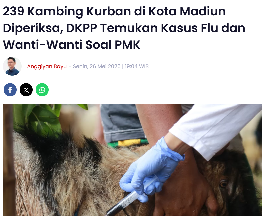 239 Kambing Kurban di Kota Madiun Diperiksa, DKPP Temukan Kasus Flu dan Wanti-Wanti Soal PMK