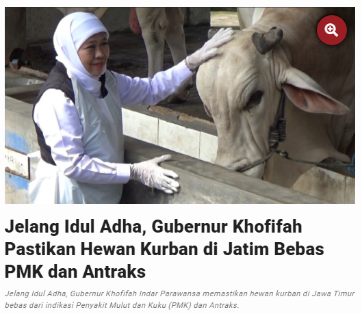 Jelang Idul Adha, Gubernur Khofifah Pastikan Hewan Kurban di Jatim Bebas PMK dan Antraks