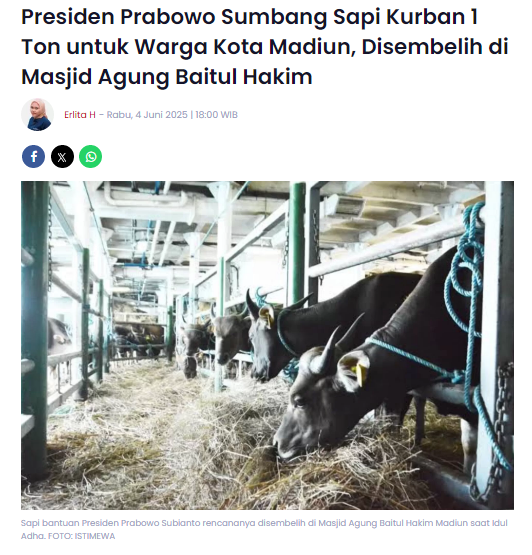 Presiden Prabowo Sumbang Sapi Kurban 1 Ton untuk Warga Kota Madiun, Disembelih di Masjid Agung Baitul Hakim