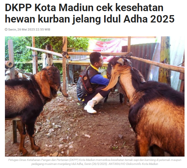 DKPP Kota Madiun Cek Kesehatan Hewan Kurban Jelang Idul Adha 2025