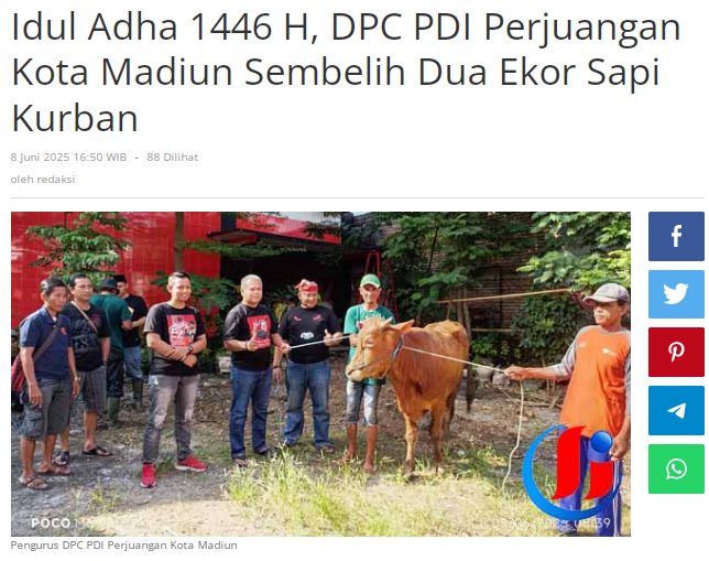 Idul Adha 1446 H, DPC PDI Perjuangan Kota Madiun Sembelih Dua Ekor Sapi Kurban