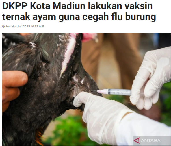 DKPP Kota Madiun lakukan vaksin ternak ayam guna cegah flu burung
