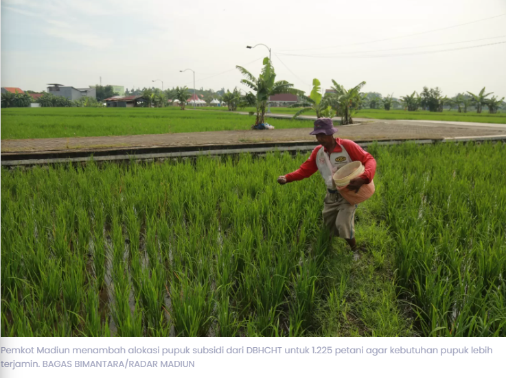 Alokasi Pupuk Subsidi 2025 Disesuaikan, Petani Madiun Dapat Tambahan dari DBHCHT