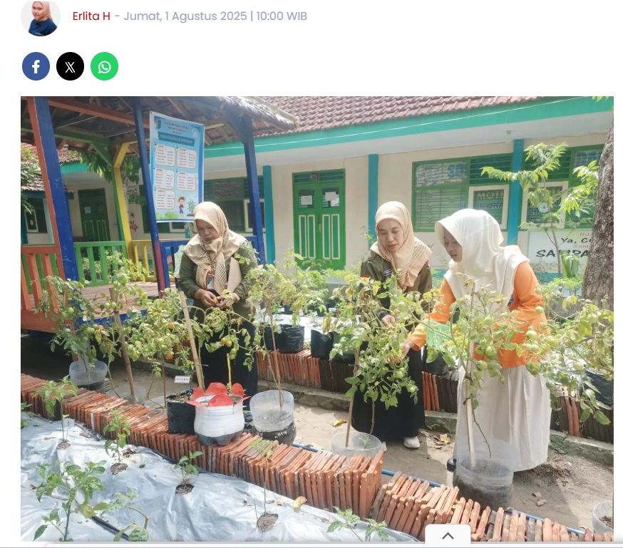 Hore! 80 Persen Tanaman Peserta Sekolah Peduli Inflasi Sudah Panen, Begini Hasilnya