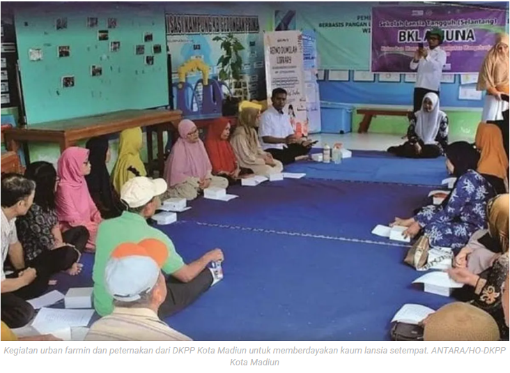 DKPP Kota Madiun berdayakan kaum lansia dengan urban farming