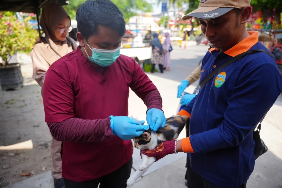 DKPP Kota Madiun lakukan vaksinasi anti-rabies untuk kucing liar