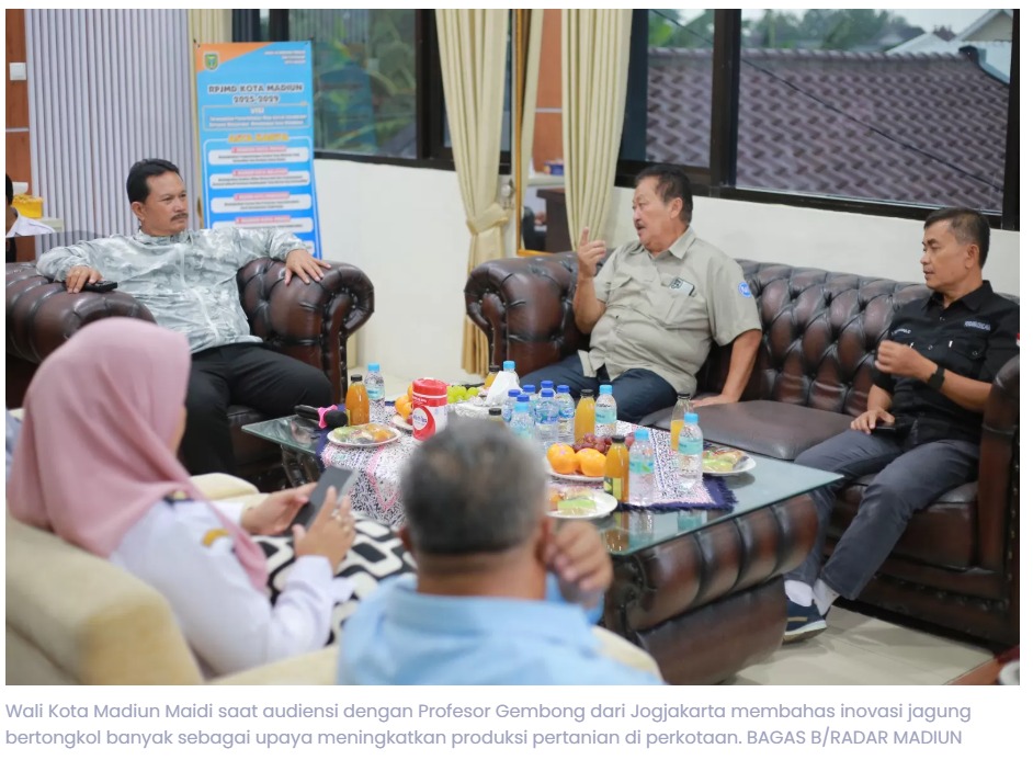 Wali Kota Madiun Siapkan Lahan Tidur untuk Produksi Jagung Bertongkol Banyak