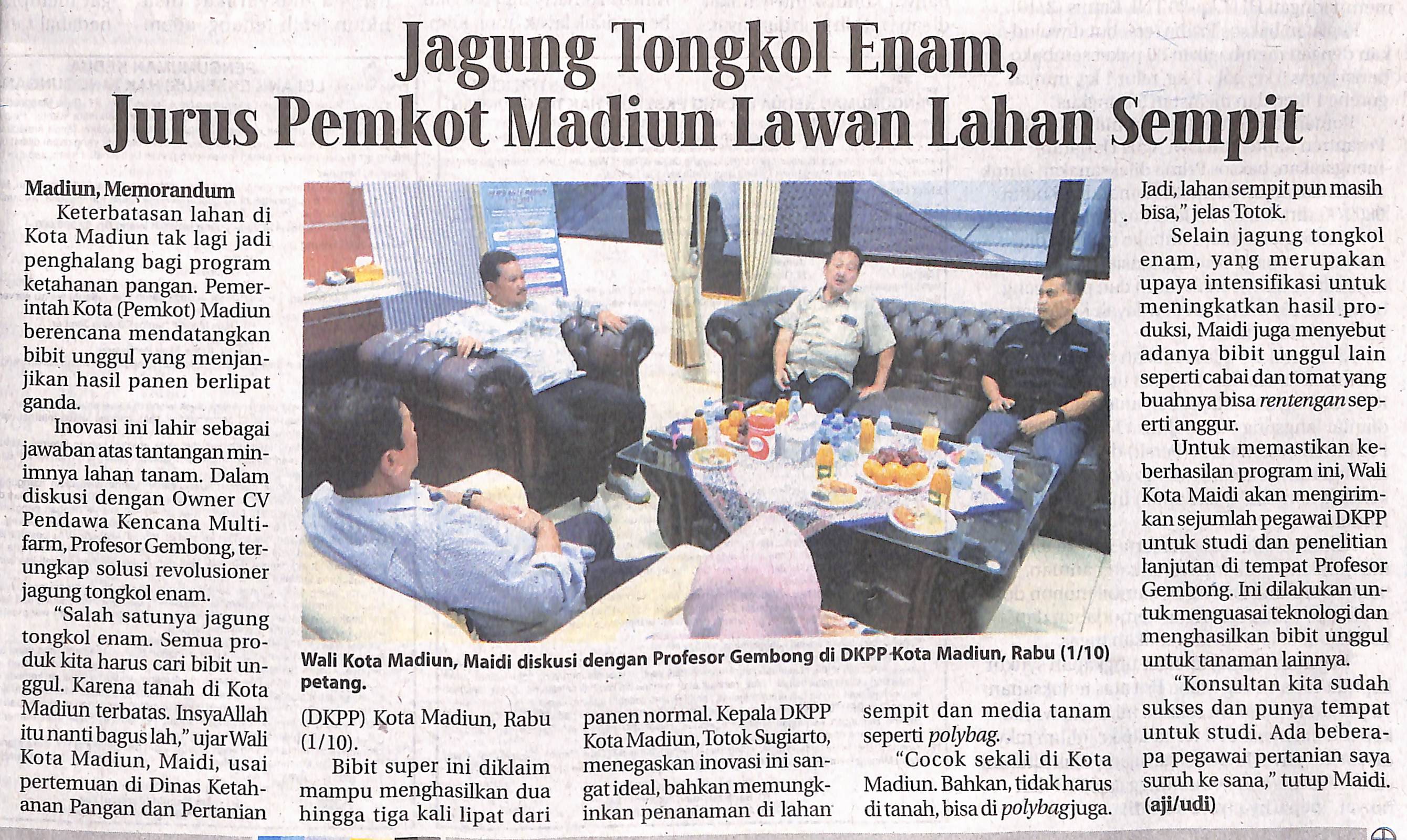 Jagung Tongkol Enam, Jurus Pemkot Madiun Lawan Lahan Sempit