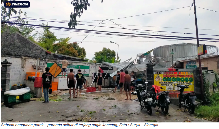 Hujan Deras Disertai Angin Kencang, Puluhan Pohon Tumbang dan Dua Rumah di Kota Madiun Rusak