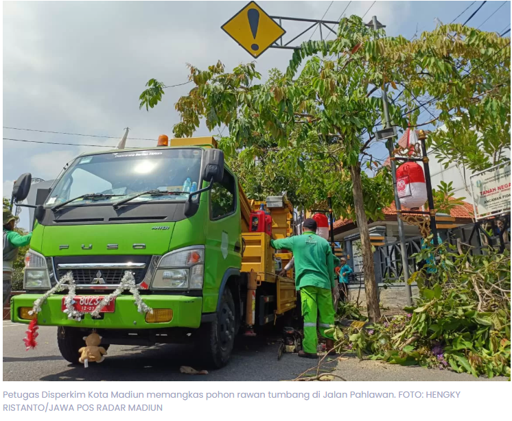 Cegah Pohon Tumbang, Disperkim Kota Madiun Gencar Lakukan Pemangkasan
