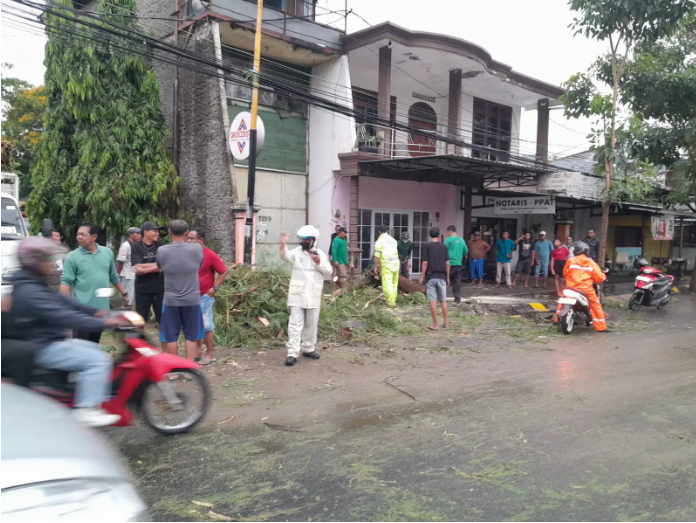 Hujan Deras, Satlantas Polres Madiun Kota Evakuasi Pohon Tumbang di Tiga Titik Kota