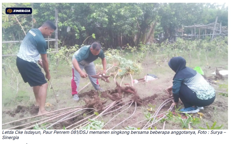 Berbagi dari Kebun Sendiri, Kisah Keteladanan Sederhana Letda Isdayun